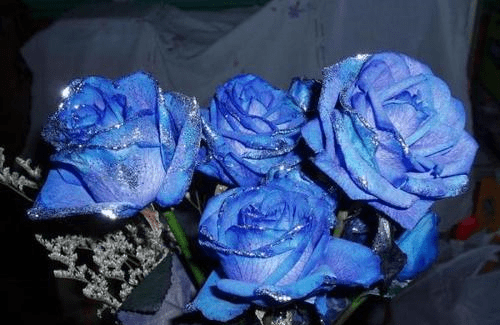 准览今战,实时更新,掌握最新动态,今日大战实时更新,掌握最新动态与资讯