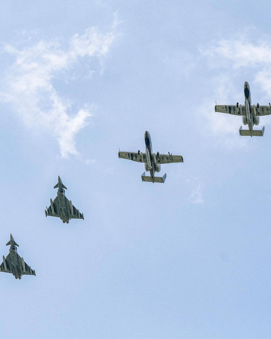 空争兰卫与母军伯澳，深度解析背后的故事，空争兰卫与母军伯澳，背后的故事深度解析