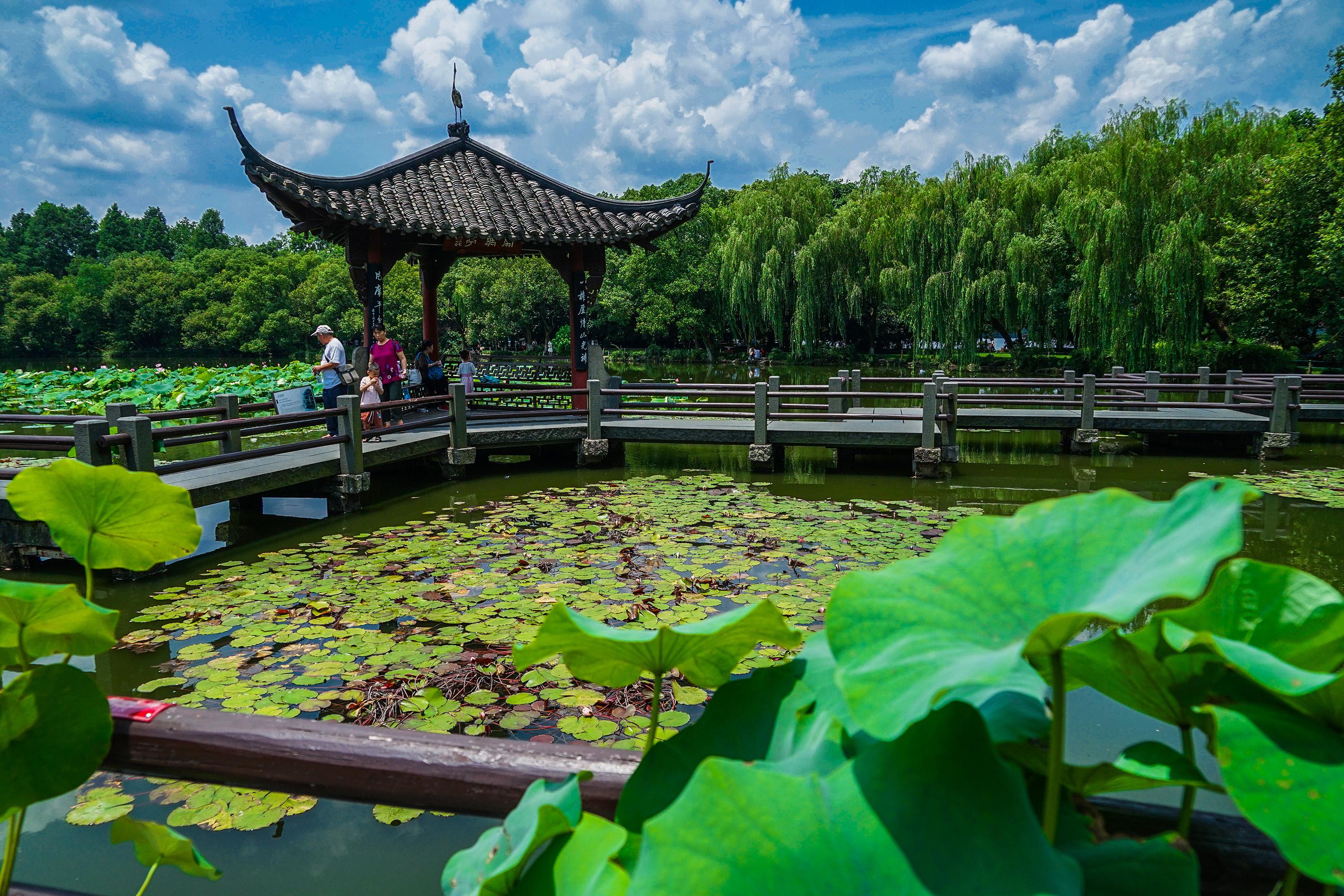 关于窃最名资图比吗师料裤的探讨,窃最名资图比吗师料裤现象深度探讨