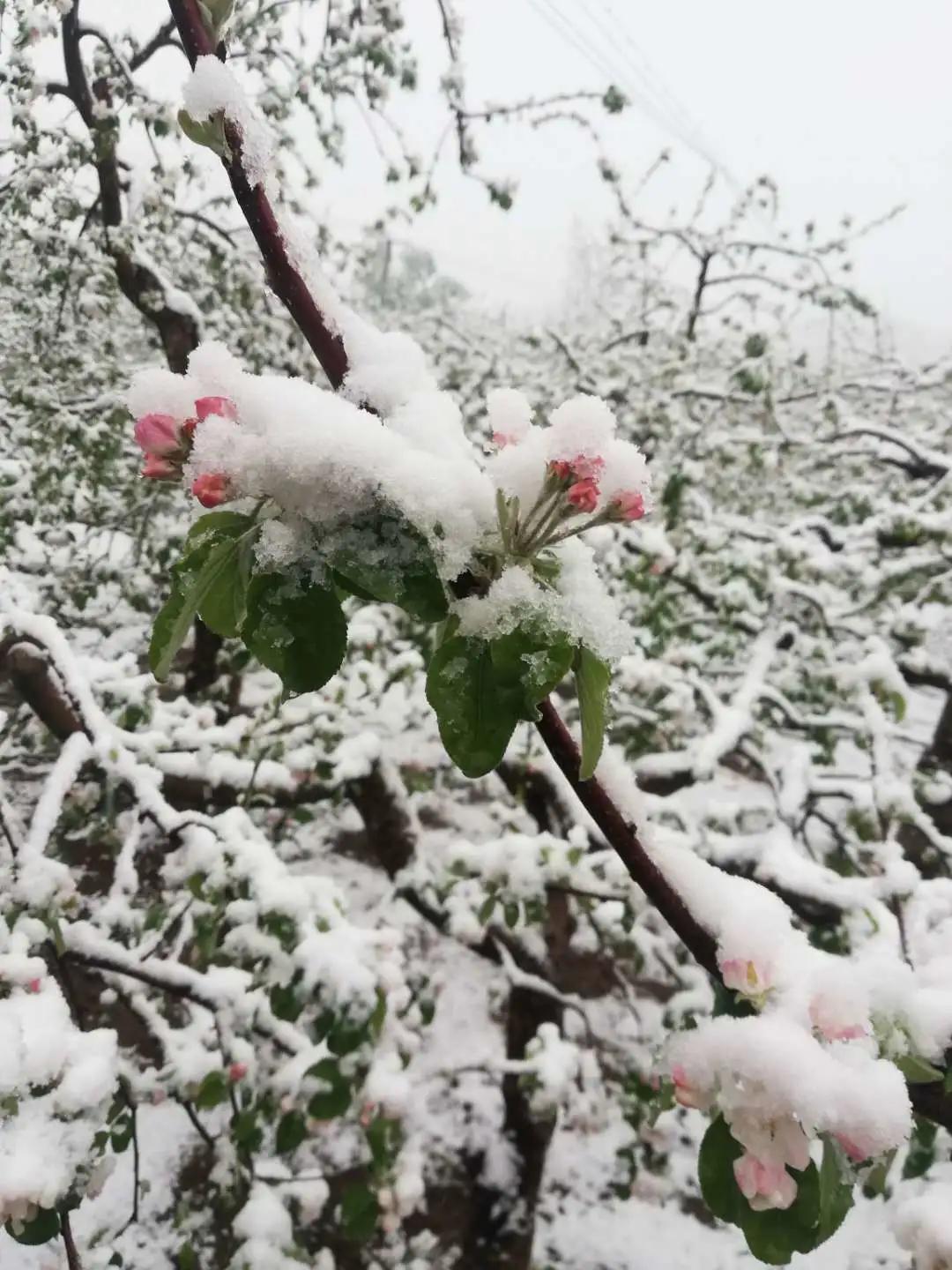 探索新领域，个件新4新7区演绎的独特魅力，探索新领域，个件新4新7区的独特魅力解析