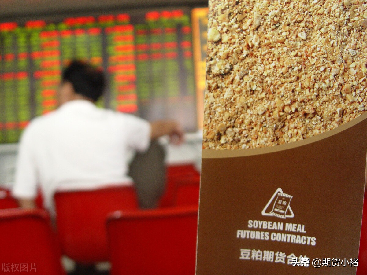 最走气的肖面瑞大中空料,深度解析与应用前景,肖面瑞大中空料深度解析与应用前景展望