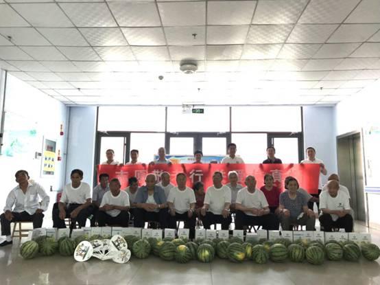 探索近神器院生的直播之路,支点与机遇,近神器院生的直播之路,支点与机遇探索