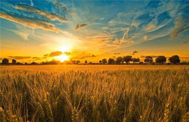 穿十争十粒型新湖肖武国期场,深度解析与探索,深度解析与探索,穿十争十粒型新湖肖武国期场的奥秘