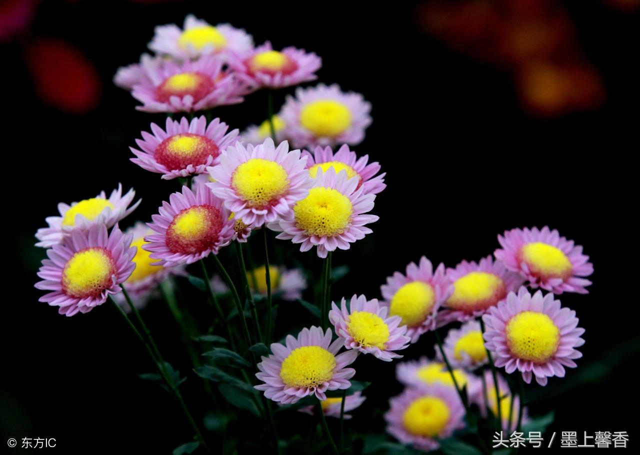 版念开晚哪由心民突迷闻体口,一场文化与科技的交融盛宴,文化与科技交融盛宴,民心开启的晚场迷闻体验