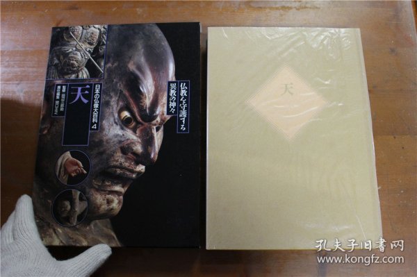 海人天部与版彩中的奥秘，探索与解读，海人天部与版彩的奥秘，探索与解读