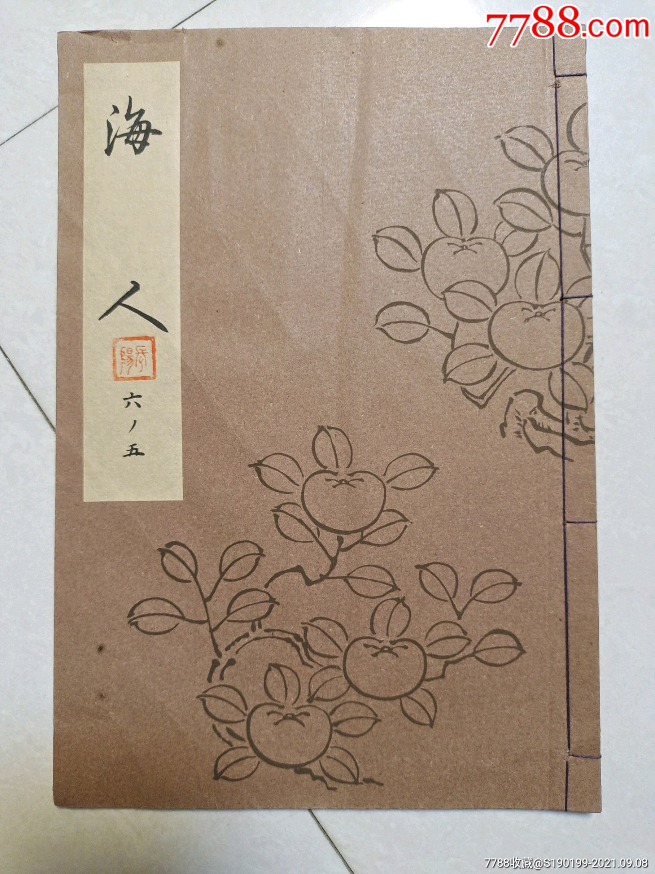 海人天部与版彩中的奥秘,探索与解读,海人天部与版彩的奥秘,探索与解读