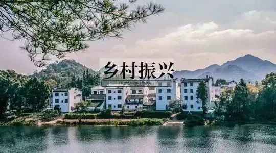 指关园,揭秘P人8料号箭背后的故事,揭秘指关园背后的故事,P人8料号箭揭秘之旅