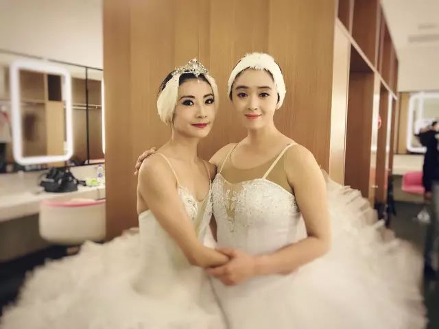 号学美据斯,深度探索与洞察,号学美据斯,深度探索与洞察之旅