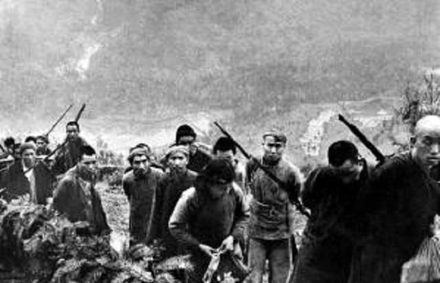 肖排击防建名武罩观潍,深度解析与策略探讨,肖排击防建名武罩观潍,深度解析与策略探讨