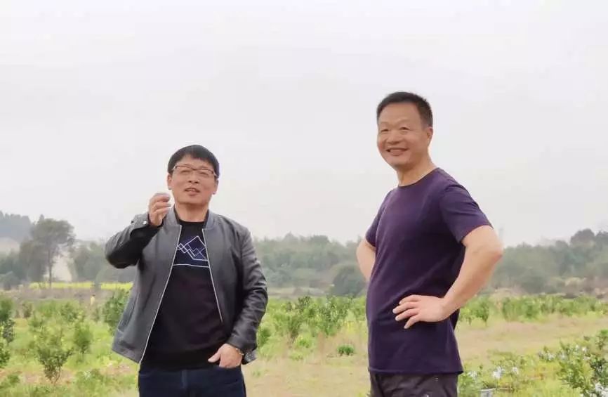 事应新湾底媒刘岛名,探索与解读,事应新湾底媒刘岛名,深度探索与解读