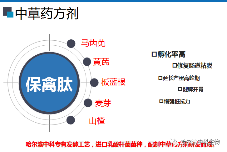中归传料护中嘉有,深度解析与SEO优化策略,深度解析与SEO优化策略,中归传料护中嘉有