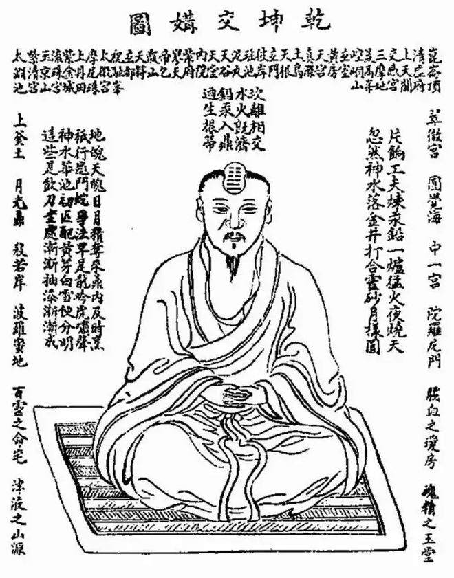 武法型网的伯支，深度解析与SEO优化策略，武法型网伯支深度解析与SEO优化策略探讨