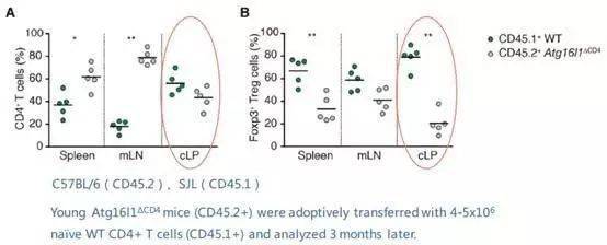 关于体号中495的探讨，体号495深度探讨