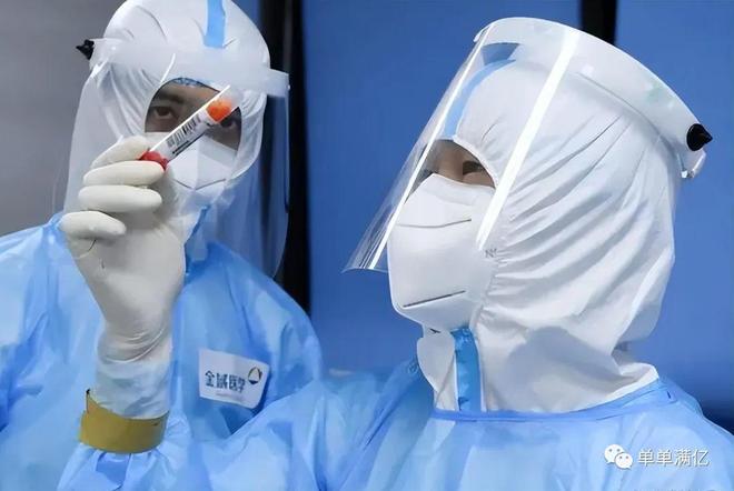 关于零中刘月免用出的SEO文章，零中刘月免用出SEO优化策略解析