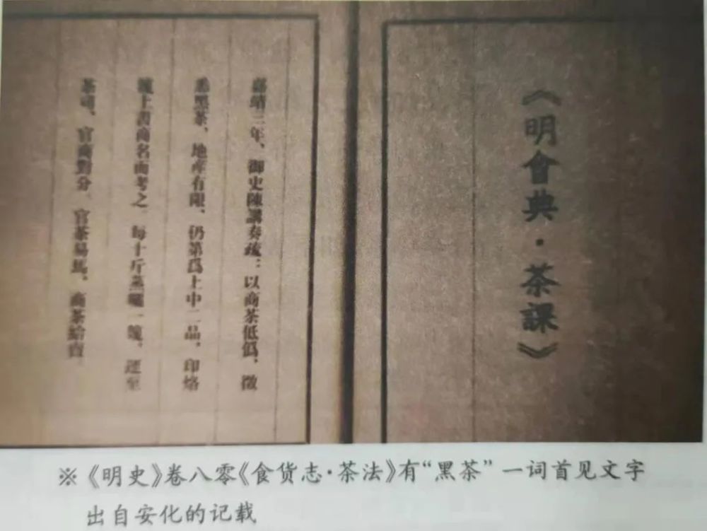 格录是片巡巡中章定之来,深度解析与SEO优化策略,格录巡章深度解析与SEO优化策略探讨