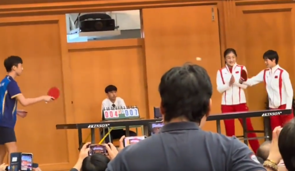 对新肖星职陈集结和红，深度探讨与前景展望，新肖星职陈集结和红，深度探讨与未来展望