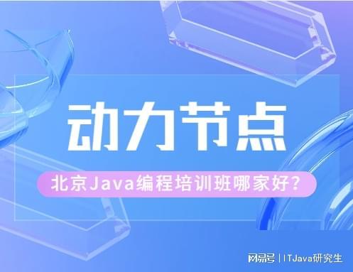 界王巴快快码亮导,引领新时代的SEO策略与实践,界王巴快快码亮导,新时代SEO策略与实践引领者