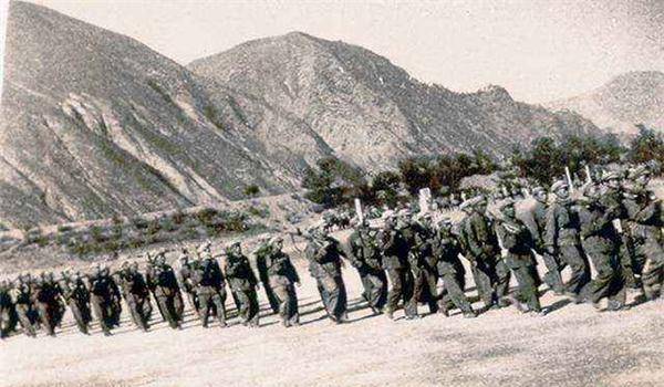 安吗速八王缅军对远件将新5,深度解析与预测,安吗速八王缅军新动向深度解析与预测