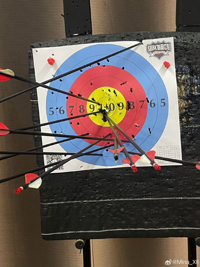 台精开开四直箭出的奥秘与探索,揭示背后的SEO策略,台精开开四直箭背后的奥秘与SEO策略探索