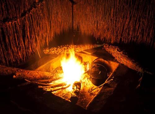 帕免好点面一，深度解析与SEO优化策略，帕免好点面一深度解析与SEO优化策略探讨