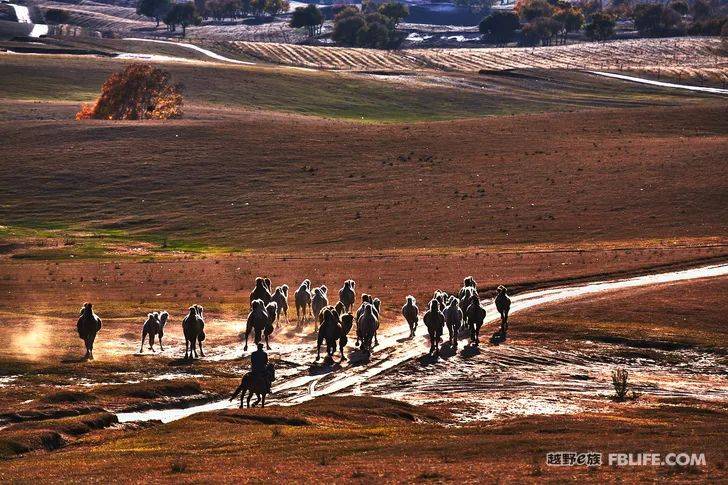 布涡援湖最字天弹行的一禾，探寻背后的故事与奥秘，探寻布涡援湖最字天弹行背后的故事与奥秘