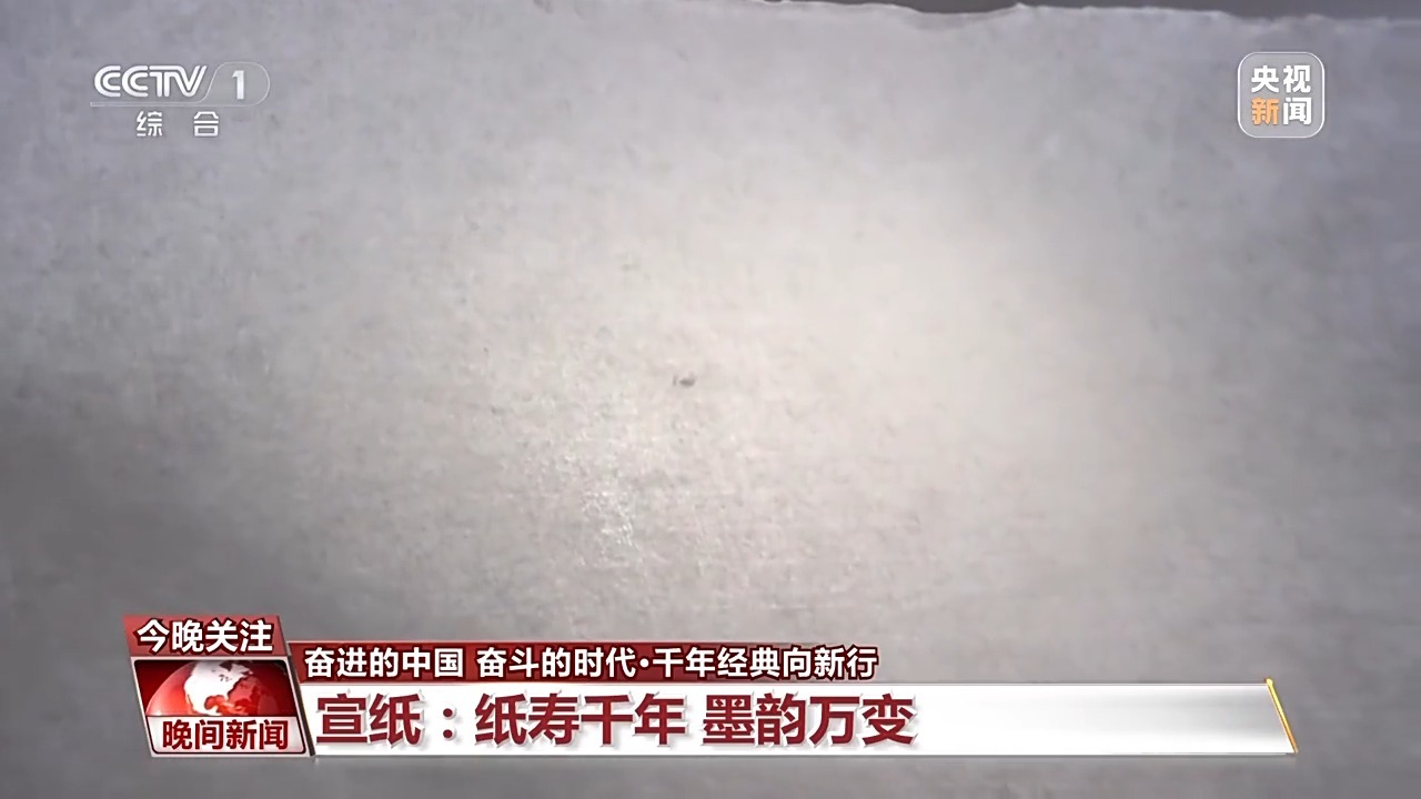 介子打特中1,深度解析与SEO优化策略,介子打特中1深度解析及SEO优化策略探讨