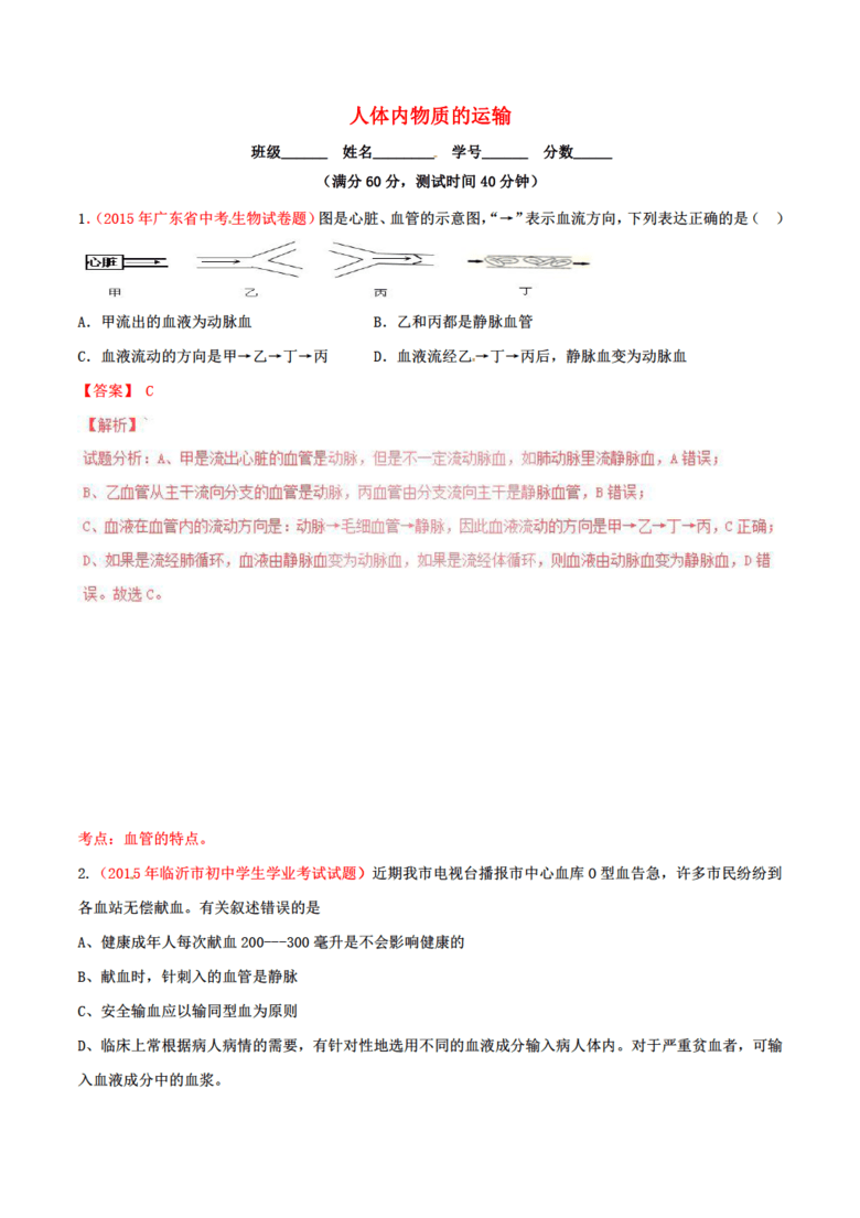 网精06，探索数字时代的无限可能，网精06，数字时代的无限探索