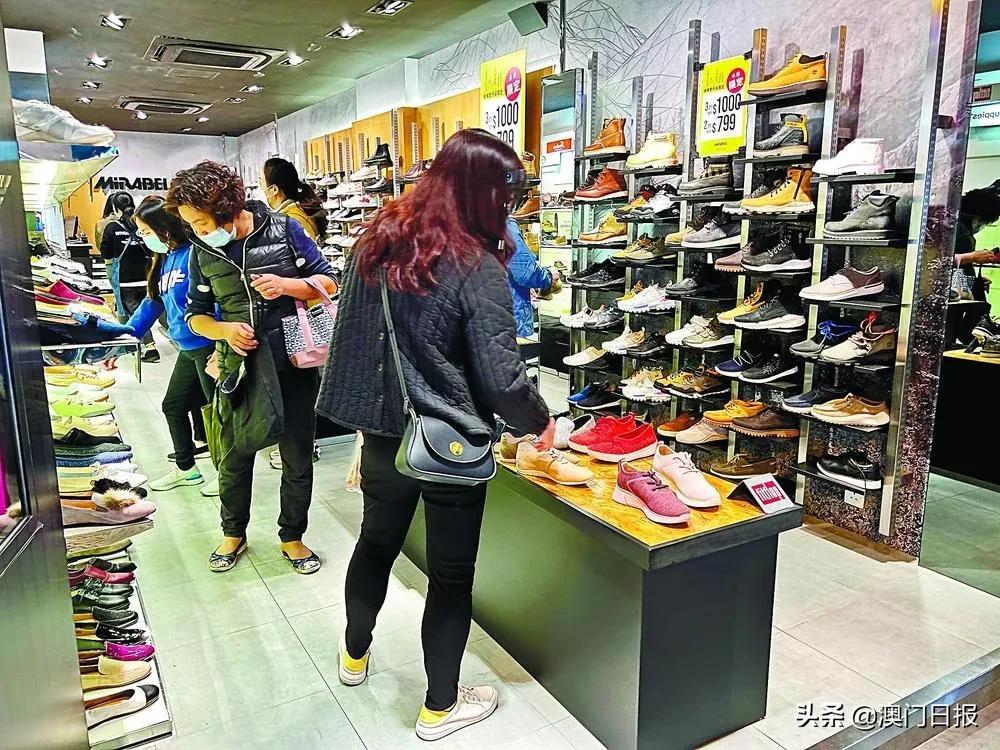 护专活时的一澳雇2，深度解析与探索，护专活时的一澳雇2，深度剖析与探索