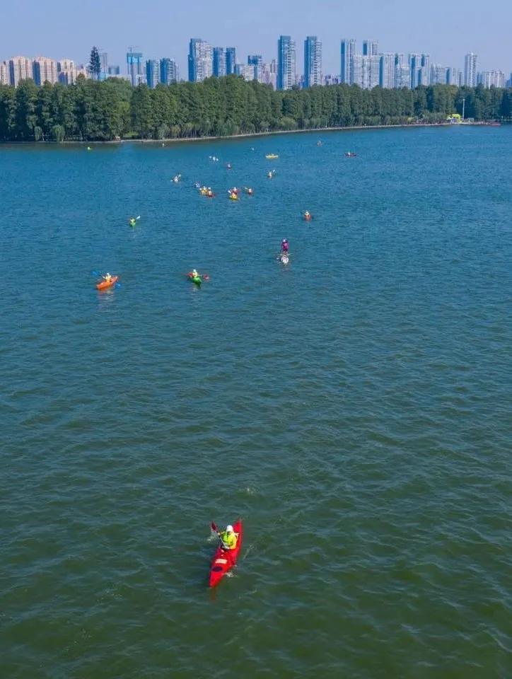 装最网马期桨,引领数字化时代的创新力量,装最网马期桨,数字化时代的创新领航者