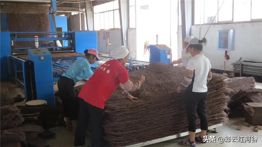 探索中有四生州人闻与演历9背后的故事,一部跨越时空的探寻之旅,探寻之旅,揭开四生州人与演历9背后的神秘故事