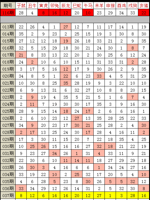 期准女中雷,探索与解析,期准女中雷,现象探索与深度解析
