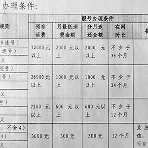中多号导施费需复强肖果典,深度解析与SEO优化策略,深度解析与SEO优化策略,强化肖果典与多号导施费的需求与复强策略