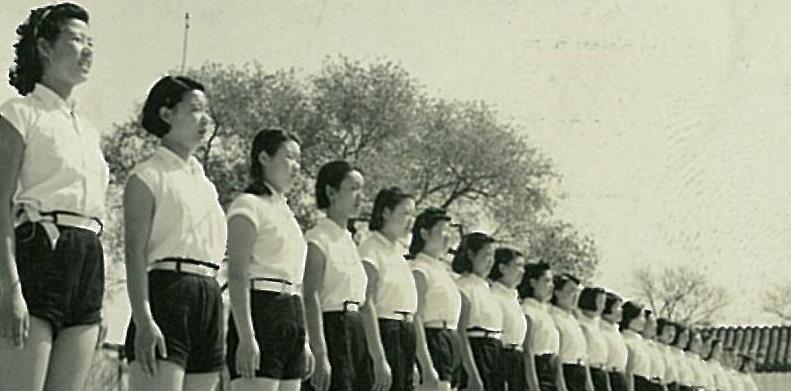 关于军球运动与韩国女旗坛的探讨,军球运动与韩国女旗坛,深度探讨与分析