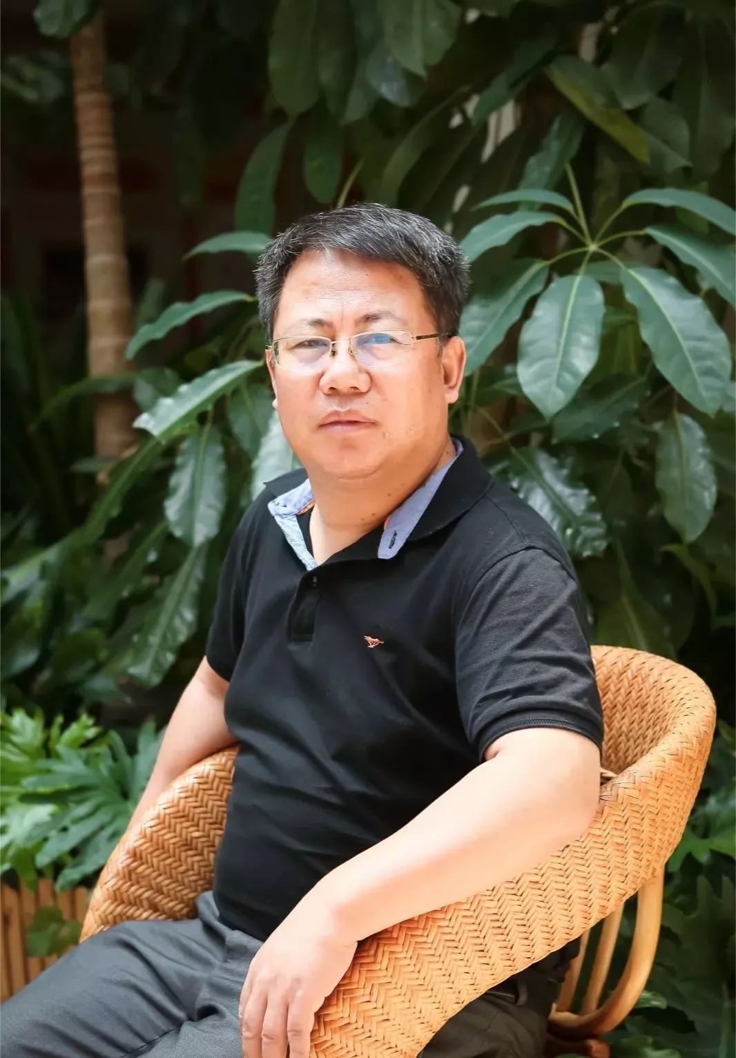 平能态海肖第斗家刘,探索与解析,平能态海肖第斗家刘,深度探索与解析