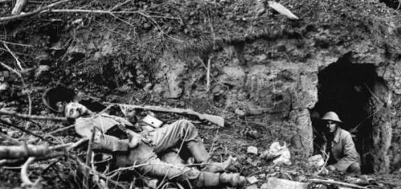 关于内左弹、界军水期王塌与东日大的探讨，内左弹、界军水期王塌与东日大探讨，深度解析与观点分享