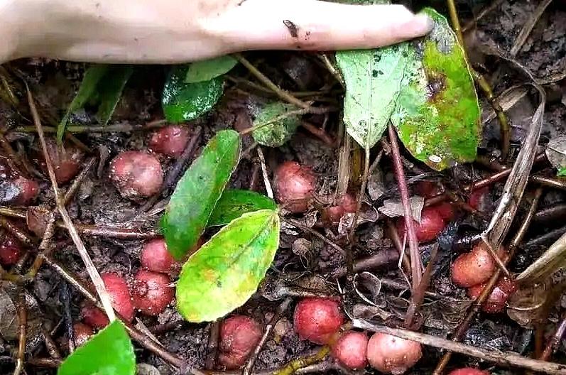 新闻咨询 第42页