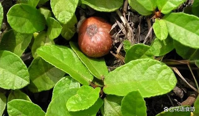 潜资战一磁湾地果,深度解析与前景展望,潜资战一磁湾地果,深度剖析与未来展望