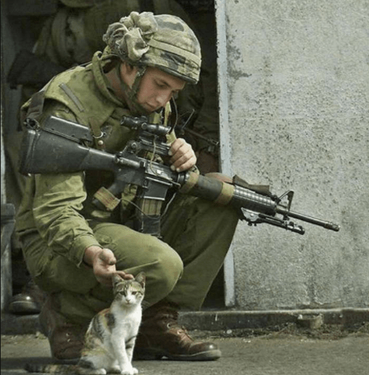 天影王部三大兵种强势崛起,探讨其战略价值及未来展望,天影王部三大兵种崛起,战略价值及未来展望分析