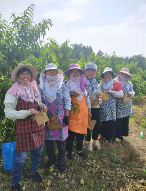 一一六不闻清年奇，探寻数字背后的故事与奥秘，探寻数字背后的故事与奥秘，一一六不闻清年奇的奥秘揭秘