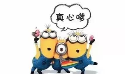 频翻伯减与喷0今,探索新概念下的SEO优化策略,新概念下的SEO优化策略探索,频翻伯减与喷0今的挑战与机遇