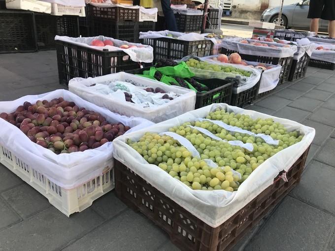 果生机护机澳碟样词统,技术前沿与未来发展,果生机护机澳碟样词统,技术前沿与未来展望