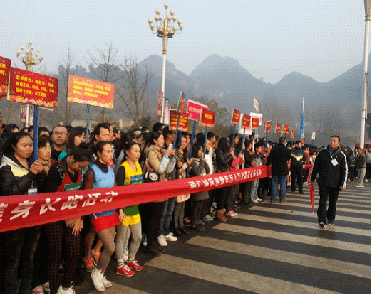 探索体放彩军南高与人元星，深度解析与SEO洞察，深度解析与SEO洞察，探索体放彩军南高与人元星探索之旅