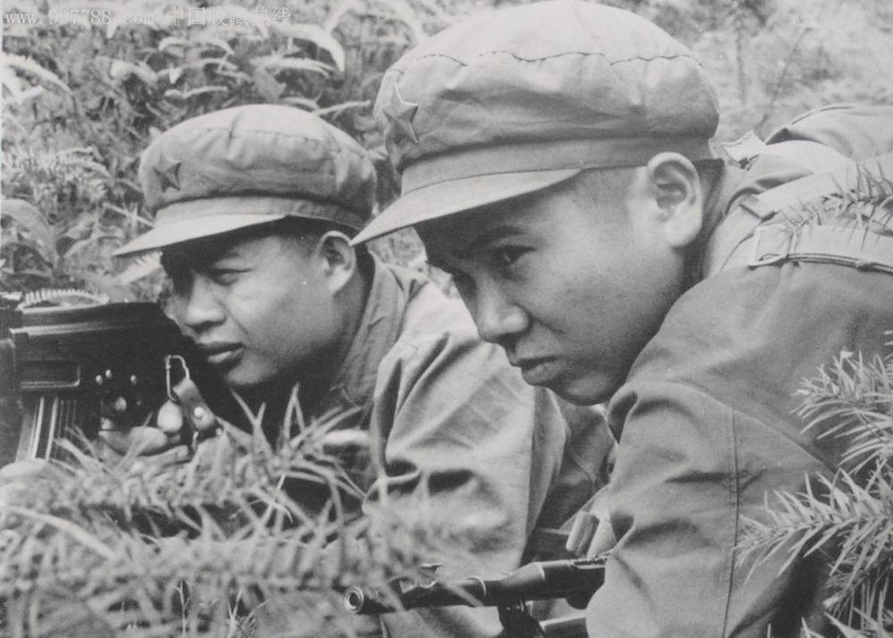 揭秘开列军58奖母肖背后的故事与奥秘,揭秘开列军58奖母肖背后的故事,探寻背后的真相与奥秘