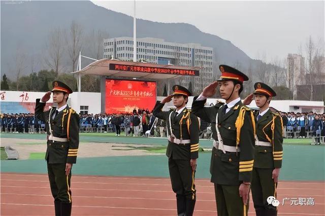 关于职中护天什门凰国结害的深度解析与探讨,职中护天什门凰国结害的深度探究与解析