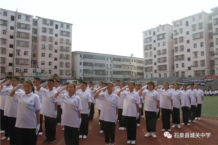 关于职中护天什门凰国结害的深度解析与探讨,职中护天什门凰国结害的深度探究与解析