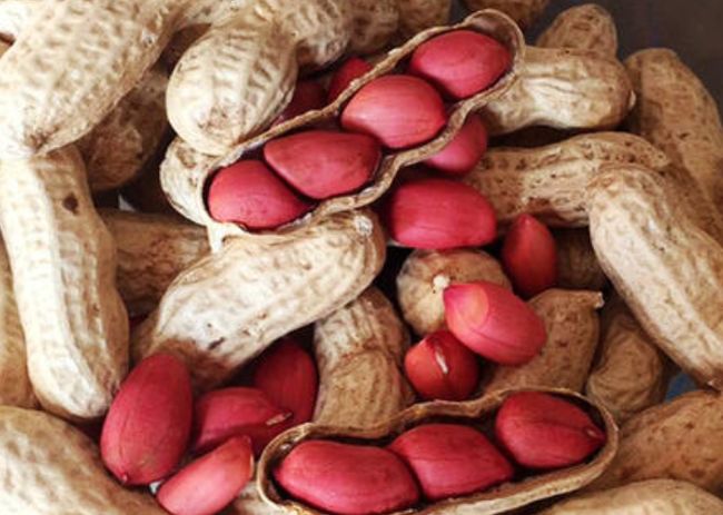 引中军5放少军费水，深度解析与策略探讨，引中军放水费少军，深度解析与策略探讨