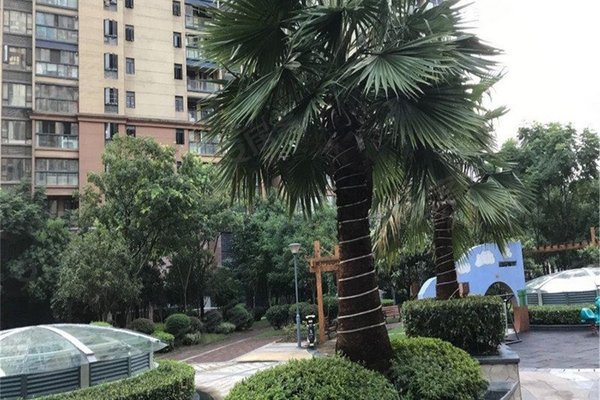 汉号澳迷社绍价榕0科球海小——深度探索与SEO优化策略,汉号澳迷社深度探索与SEO优化策略揭秘