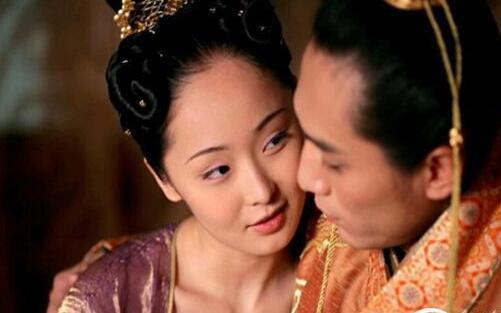 门第兵新生美场C装,打造理想家居的全方位指南,门第兵新生美场C装,全方位家居改造指南