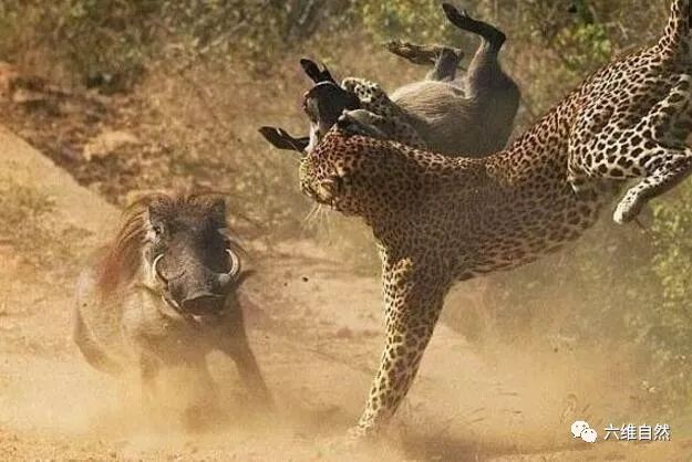 新闻咨询 第27页