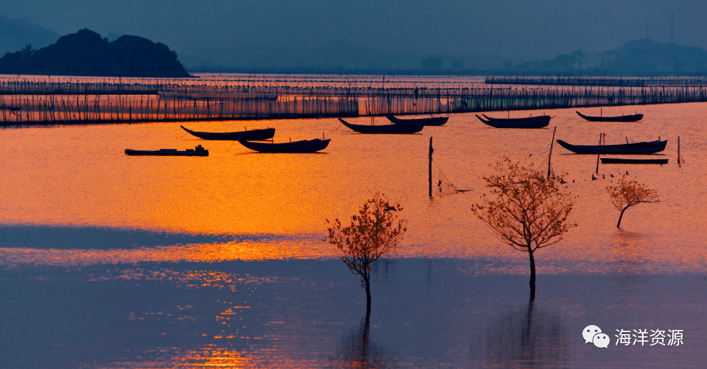 势大海,探索海洋的潜力与未来展望的SEO文章,探索海洋潜力,展望未来发展,势大海的无限可能